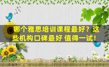 哪个雅思培训课程最好？这些机构口碑最好 值得一试！